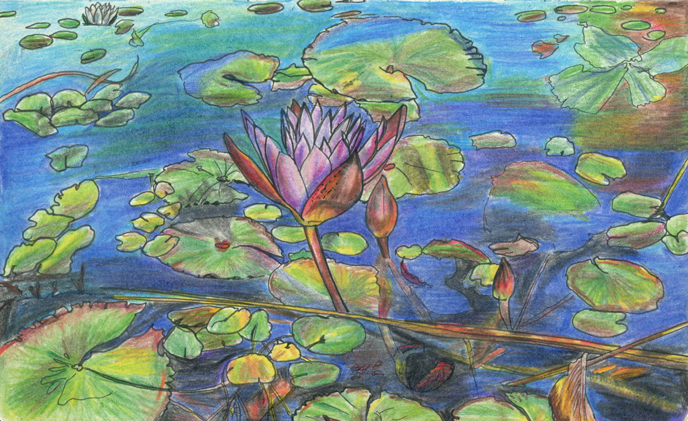 Dibujo tali con colores diferentes